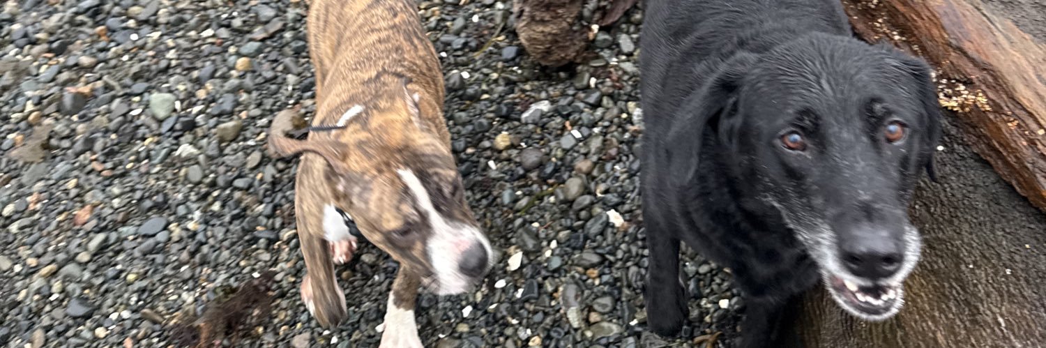 Graham Byatt 🇨🇦 banner