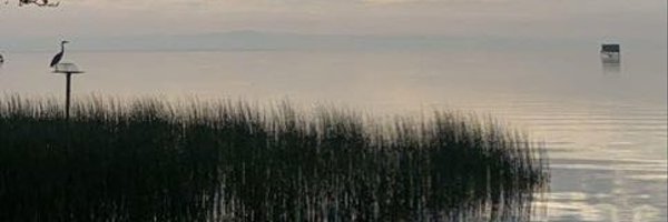 step_bee Profile Banner