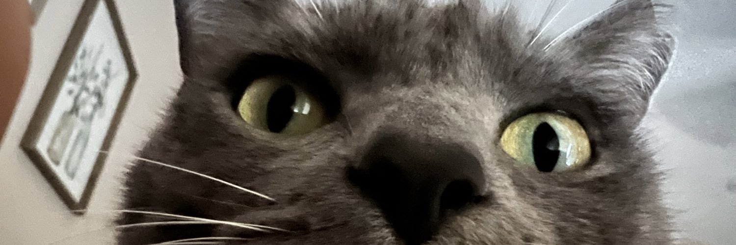LindsayShandi's profile banner image
