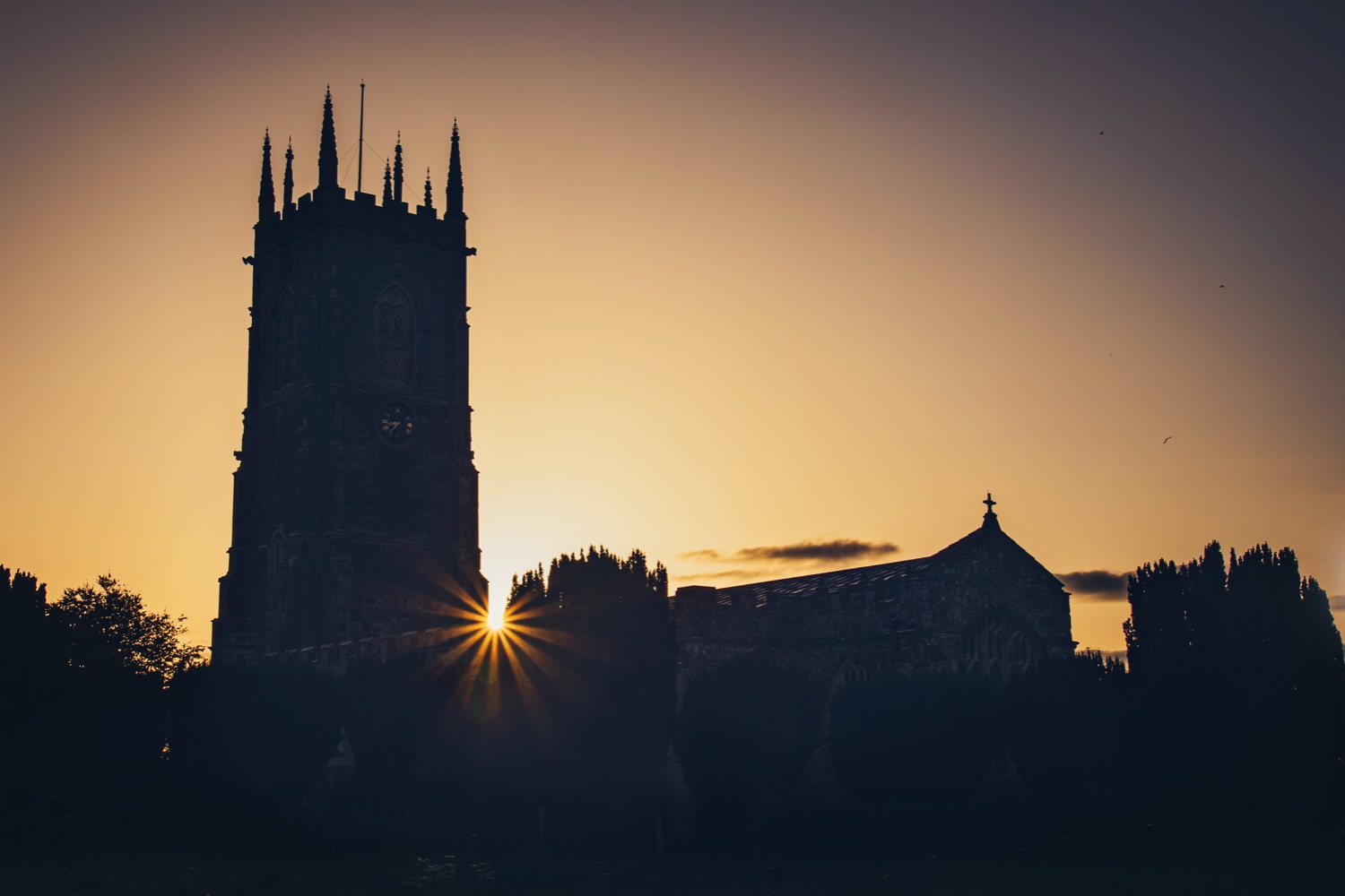 Fiona French Images banner