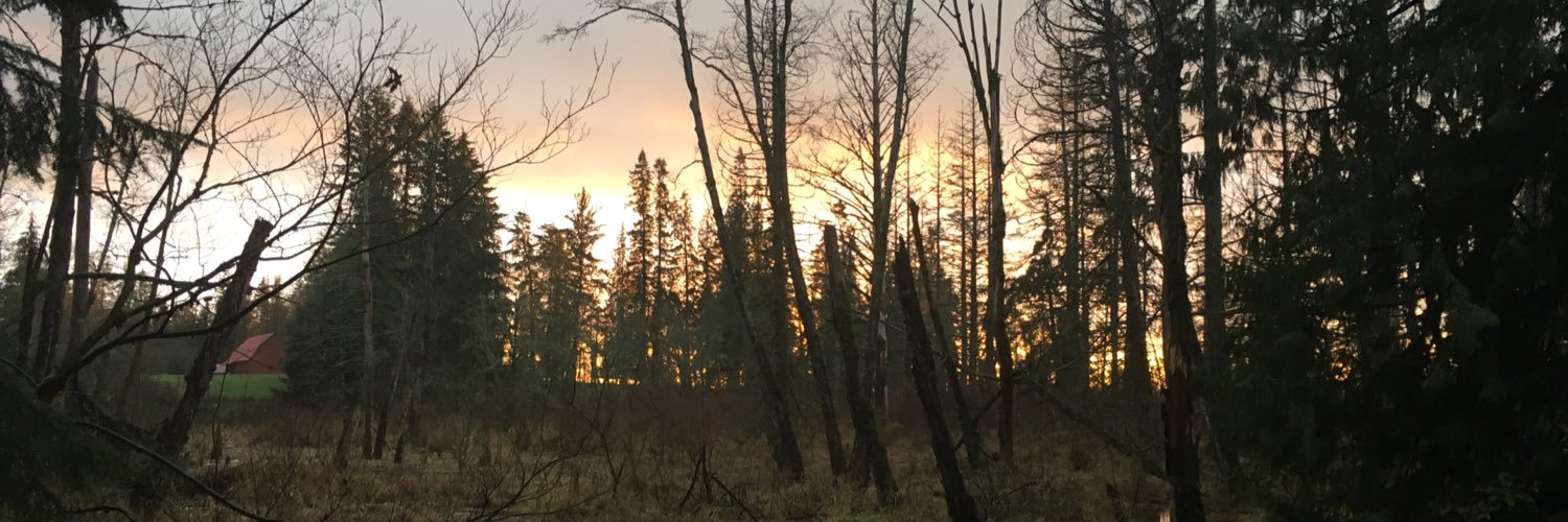 kelseyvoth's profile banner image