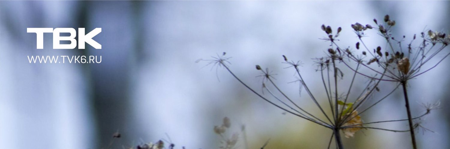 tvk6_tv's profile banner image