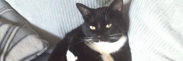 beeettthh's profile banner image