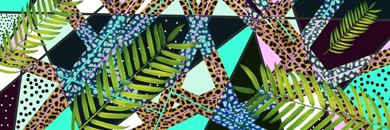 miccolla's profile banner image