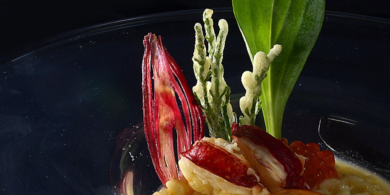 molecular_chef's profile banner image