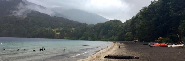 alediaz Profile Banner