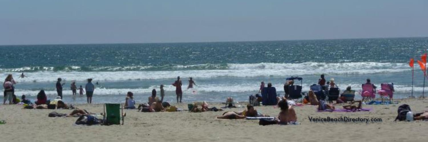Venice Beach CA Life banner