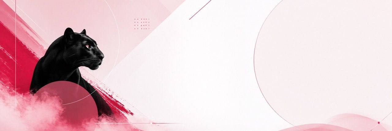 Lizzi_Stimans's profile banner image