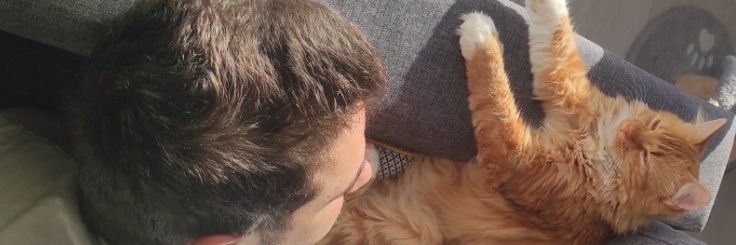Nilboeme's profile banner image