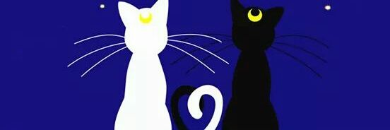 MalikElsy's profile banner image