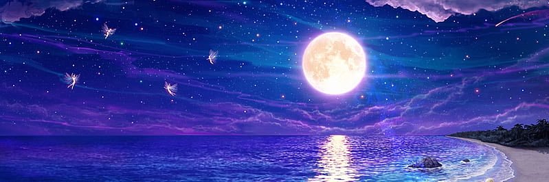 LeSignePoisson's profile banner image