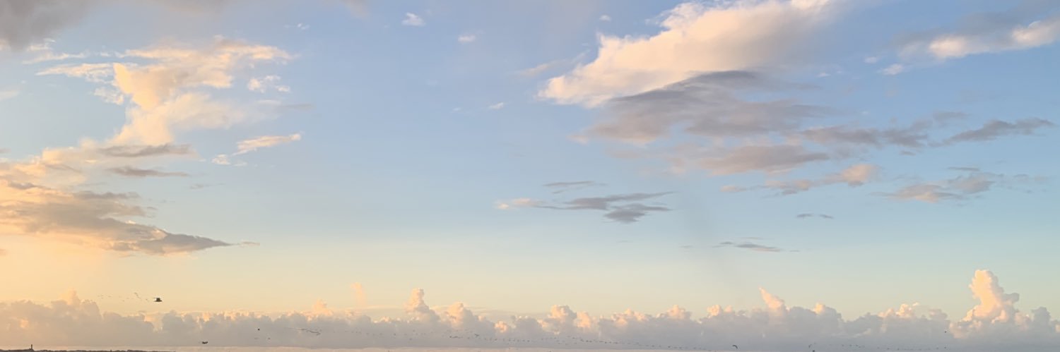 casey banner