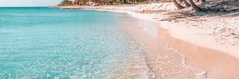 Tim Hardegree banner