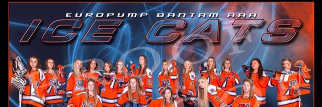 aaa_cats's profile banner image