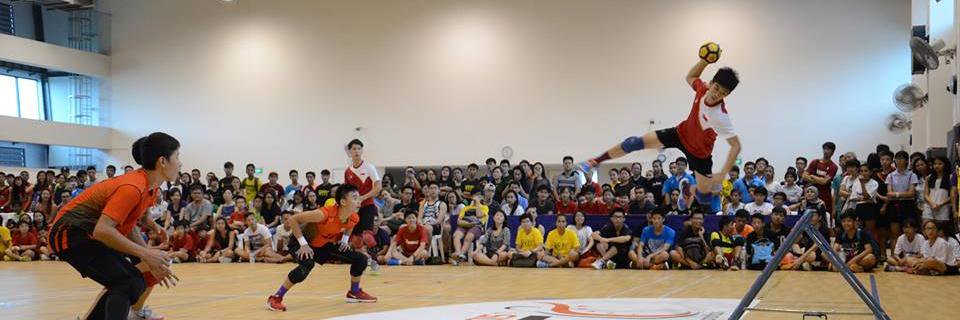 tchoukballsg's profile banner image