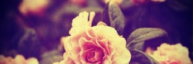 loum1413's profile banner image