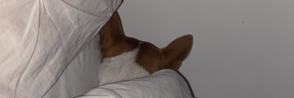 TeahLangleyX's profile banner image