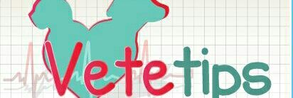 vetetips's profile banner image