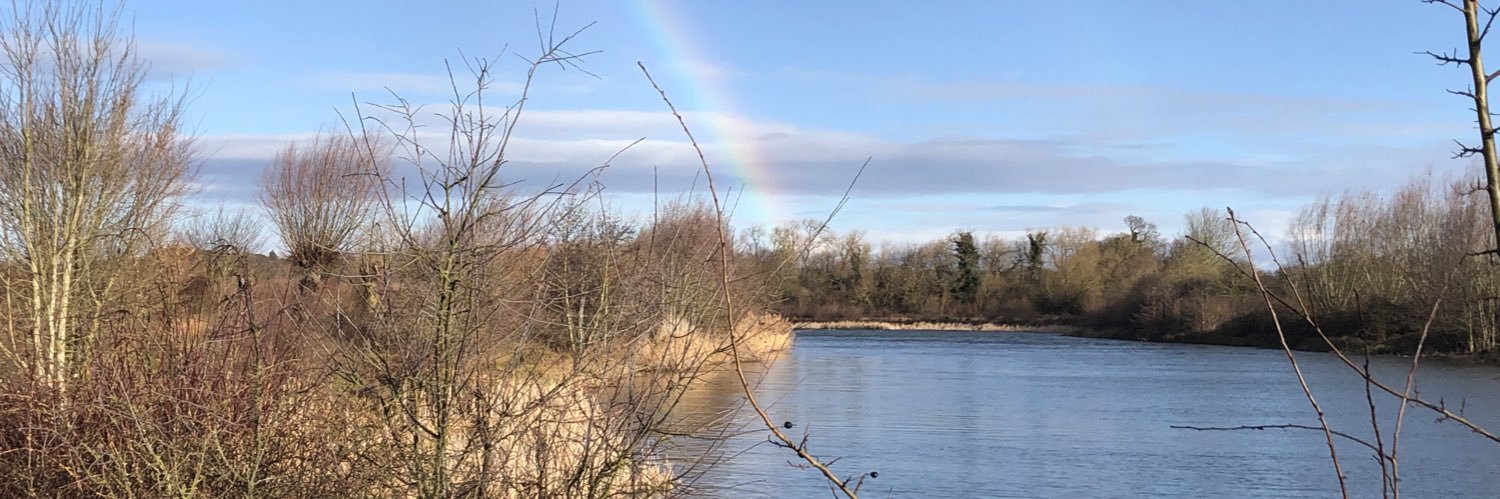 Angela Haymonds banner