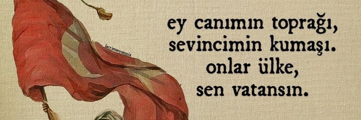 baynponck's profile banner image