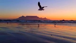 capecabby's profile banner image