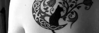 StarEilsel's profile banner image