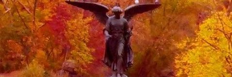 Matthew Crawley banner