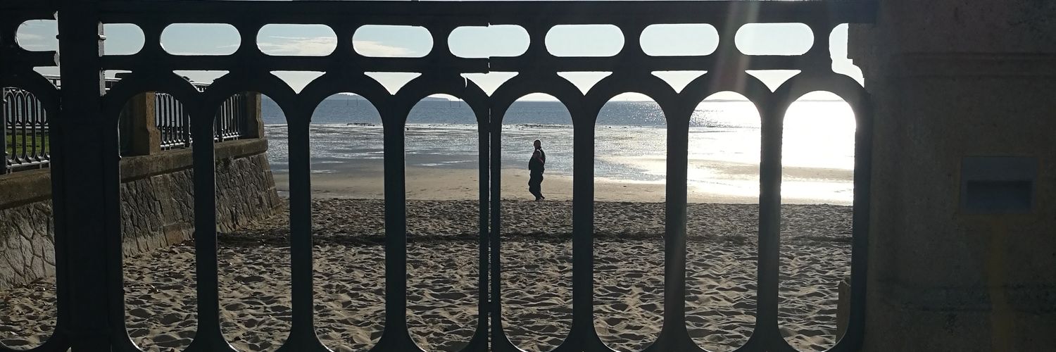 annegaso's profile banner image
