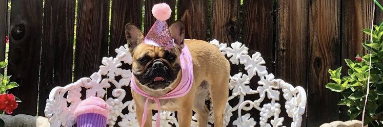 Jenmichelles's profile banner image