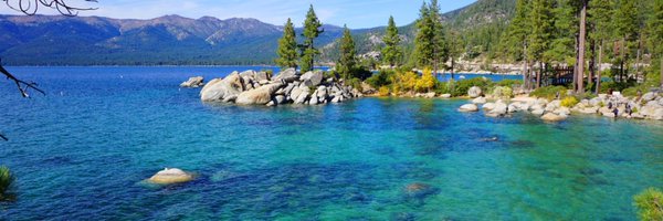 RobbieWSilver Profile Banner