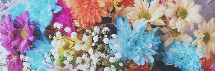 vssantillan's profile banner image