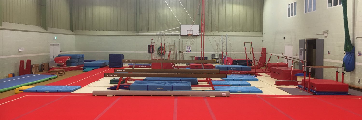 SAADI Gymnastics banner
