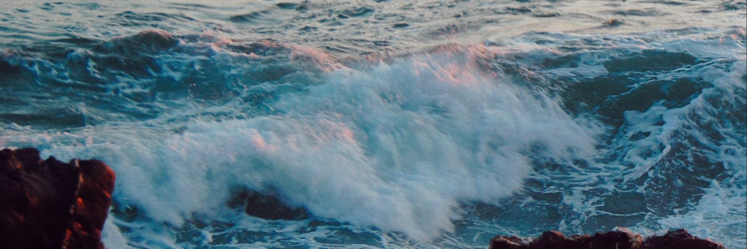 ycobosm's profile banner image