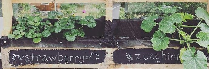 Ashley Armstrong banner