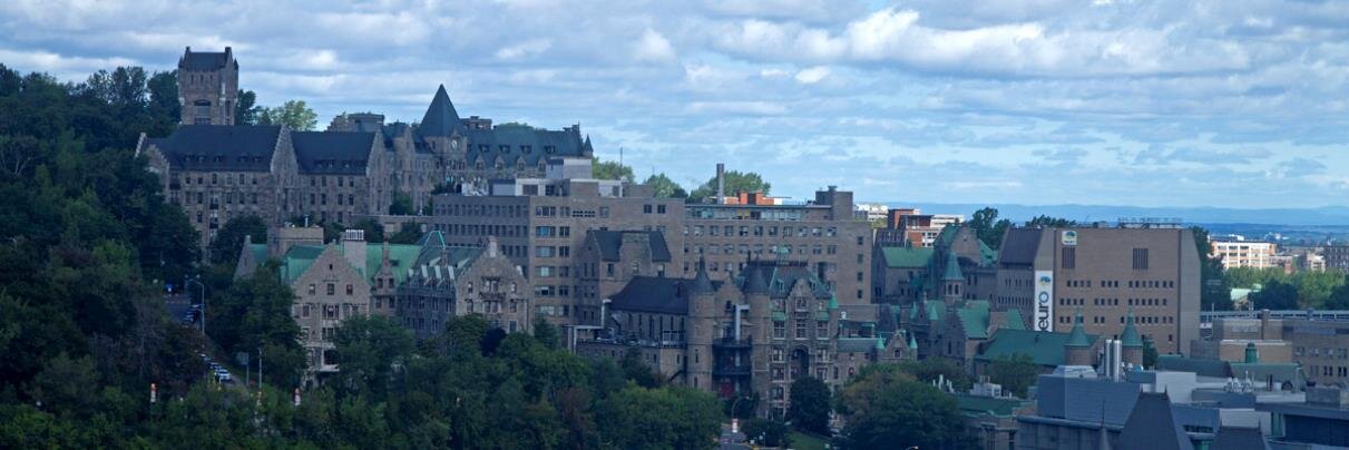 Ronie R. Webster banner