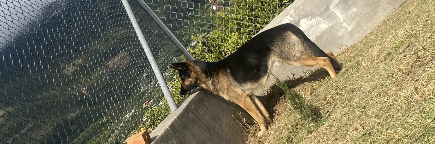 CarlosNar55's profile banner image