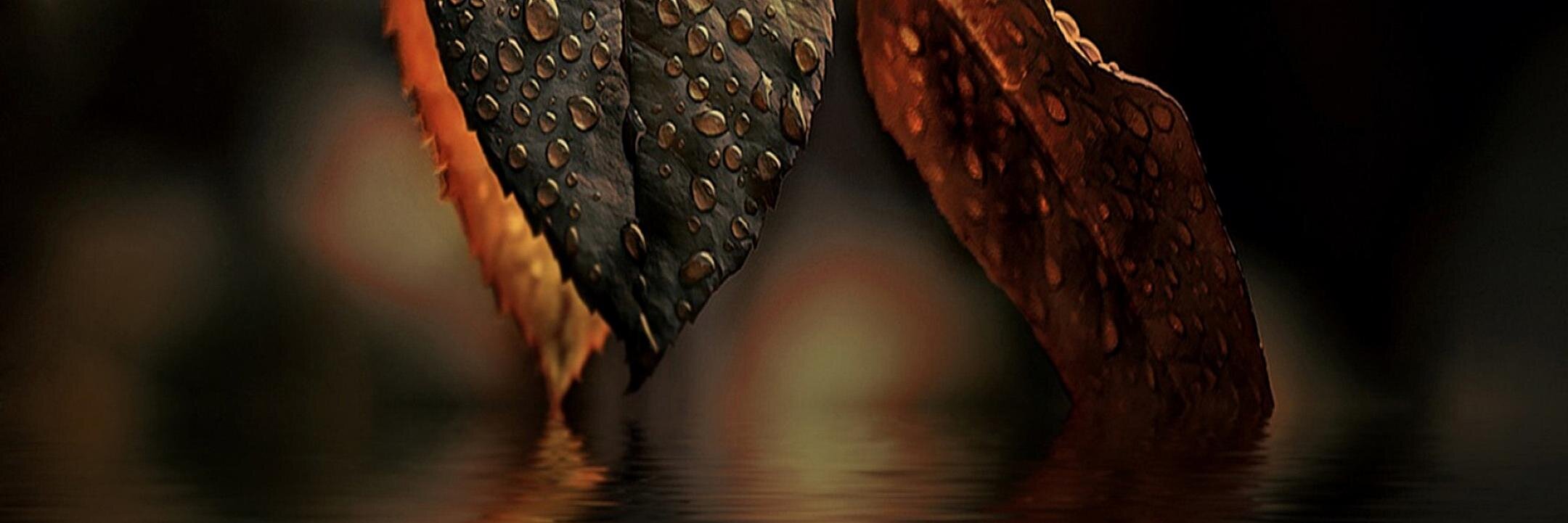 ChuryWutz's profile banner image
