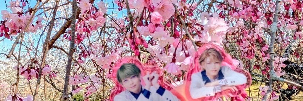 芹音*プロカ有　通知不良 banner