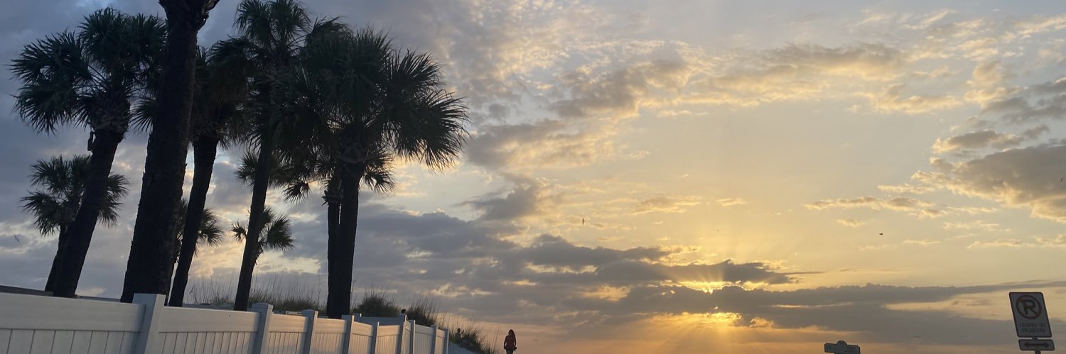 monetfried's profile banner image