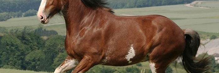 Muktaruzzaman's profile banner image