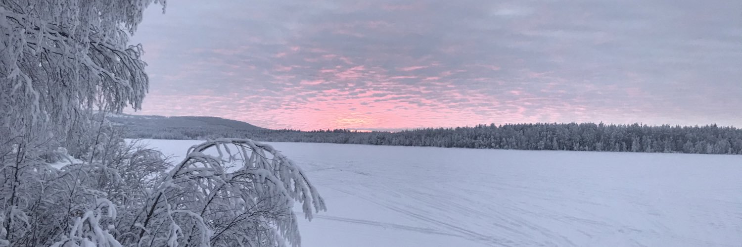 Hon ni önskar lagade er middag banner