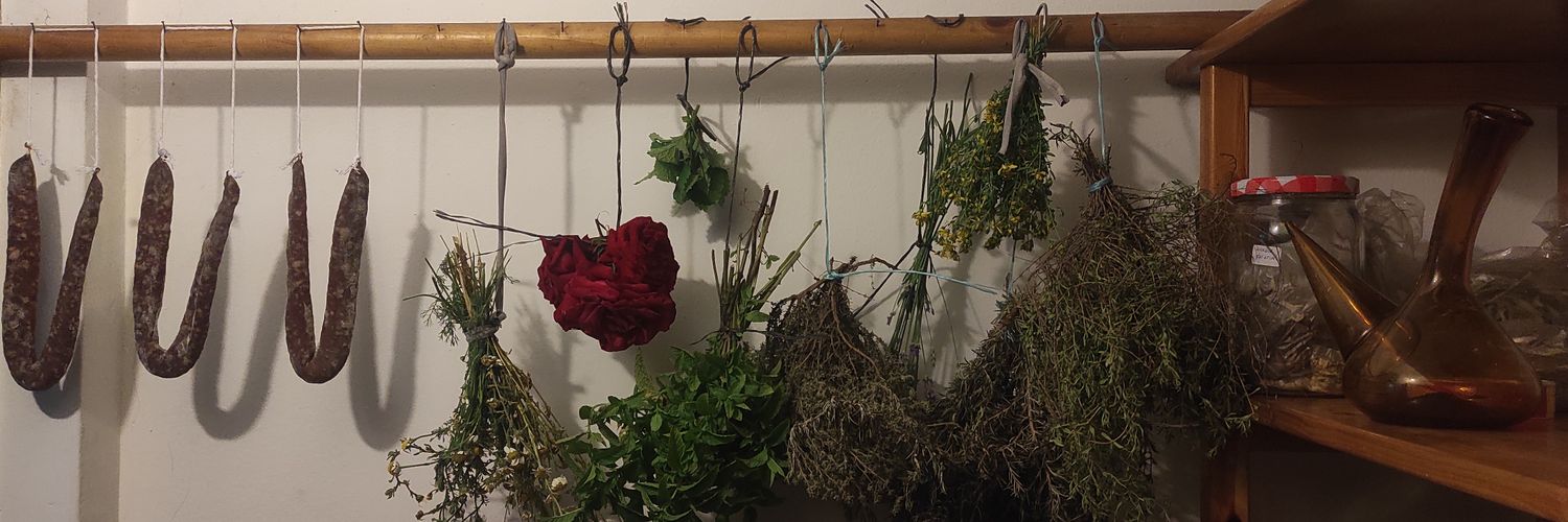 Adrià Menéndez banner