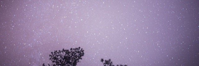 buteralava's profile banner image