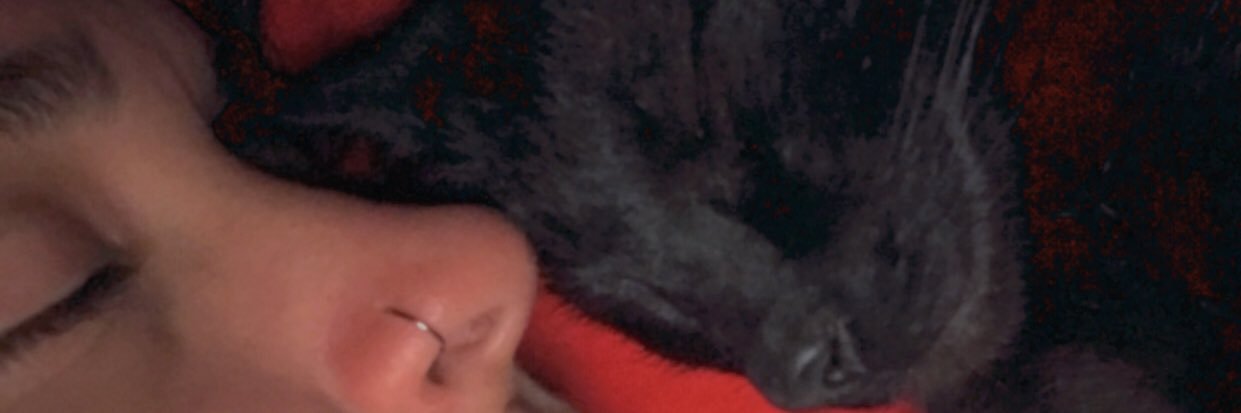 LucilaaBenitez's profile banner image