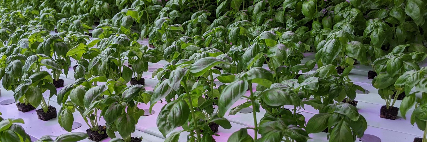 Gretchen Schimelpfenig, PE banner