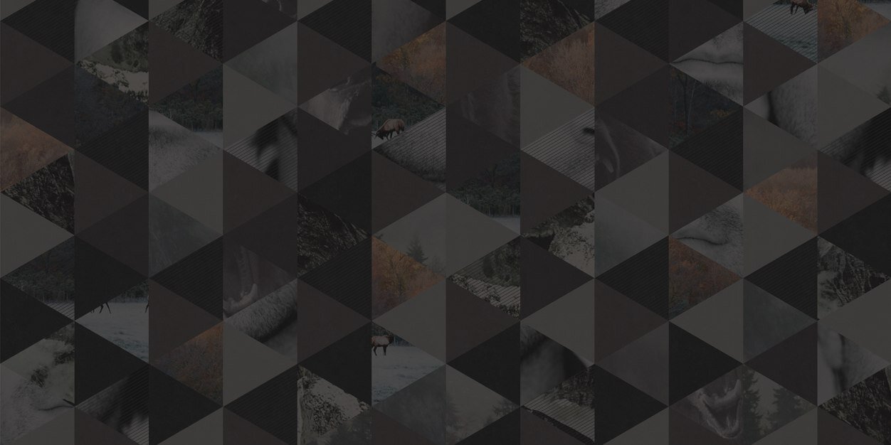 tapernoux1's profile banner image
