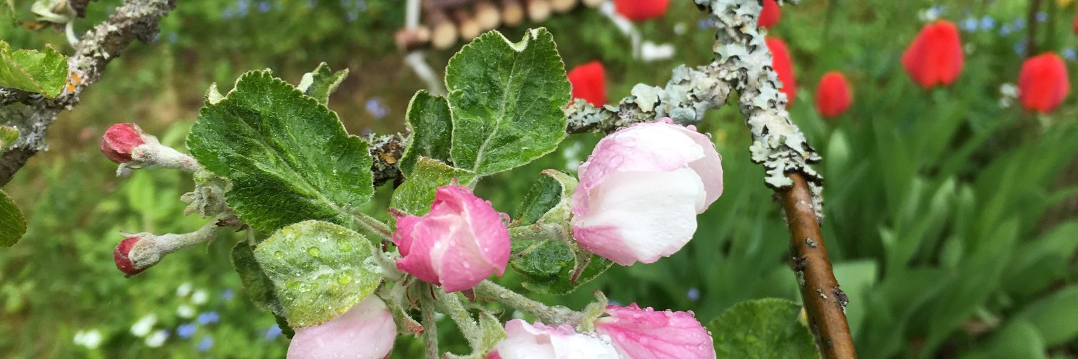 MariaSolscher's profile banner image