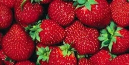 badar_f_f's profile banner image