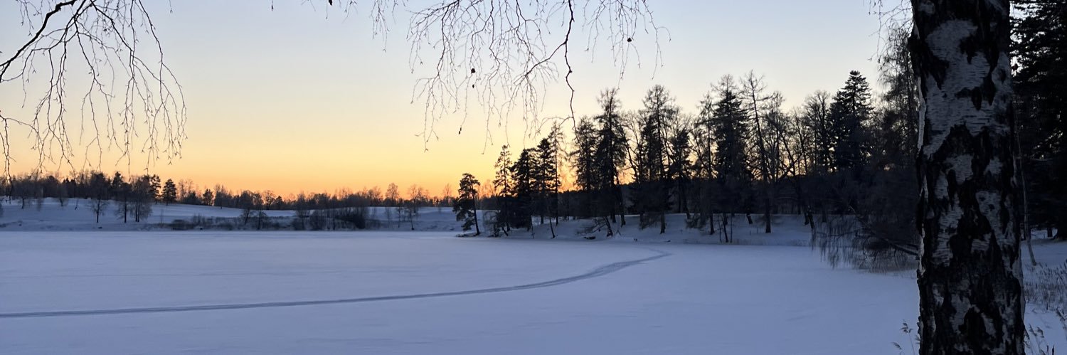 pernlarsen's profile banner image