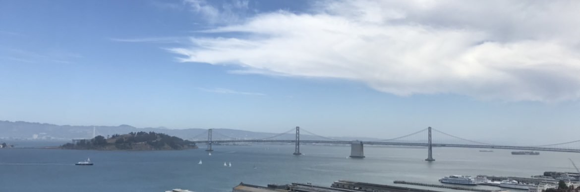 Austin Diamond banner